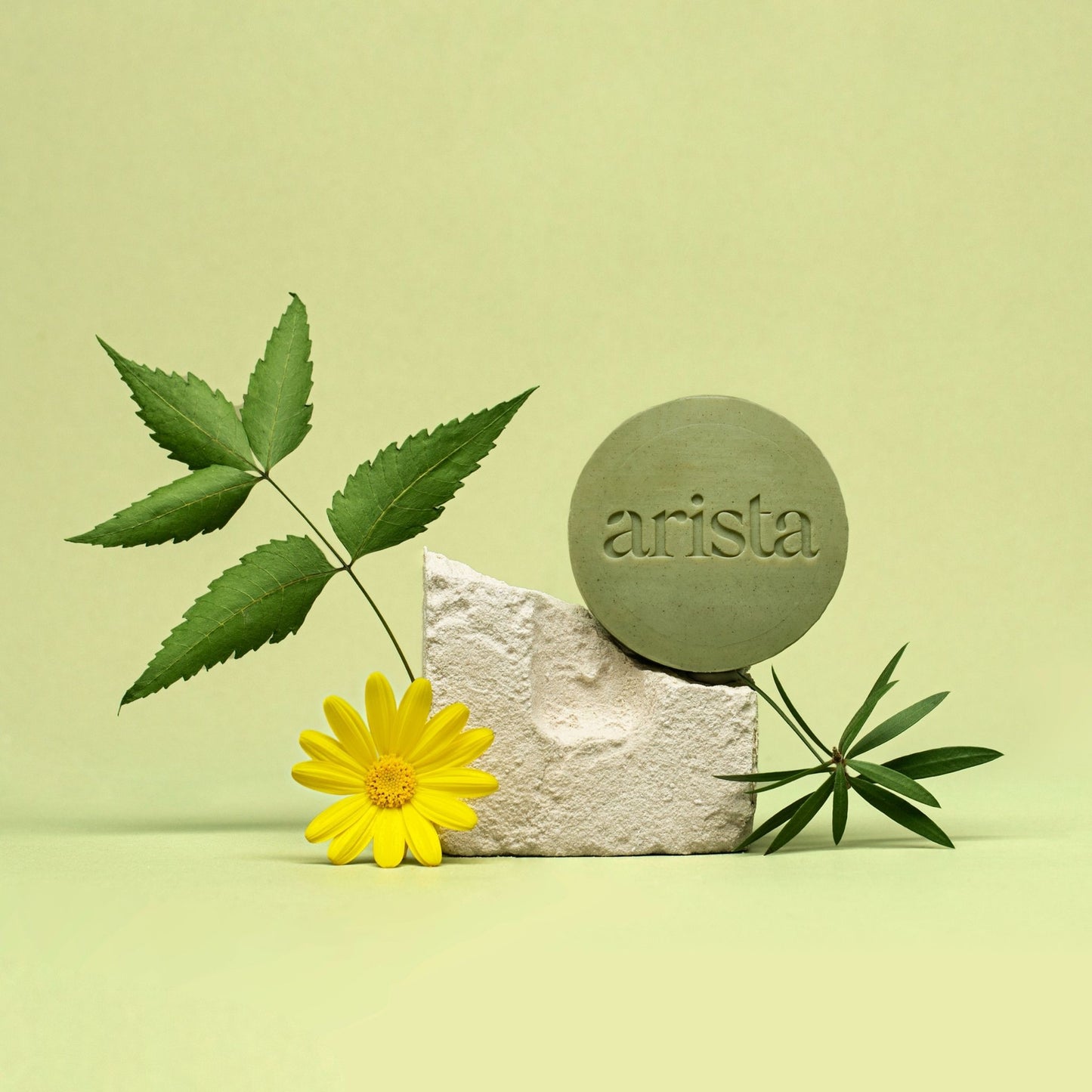 Arista Ayurveda - Shampoo Bar - Anti-Roos