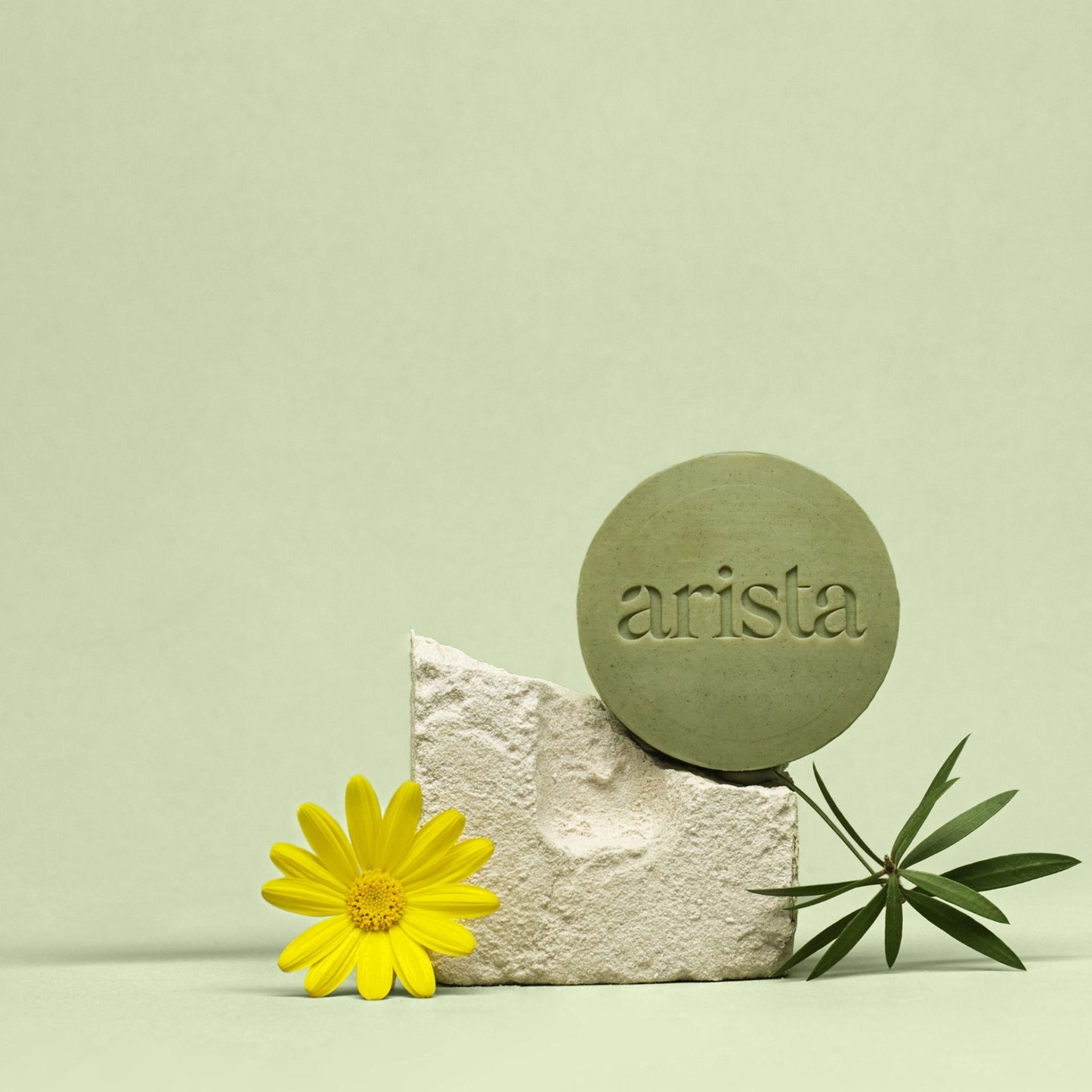 Arista Ayurveda - Shampoo Bar - Anti-Roos